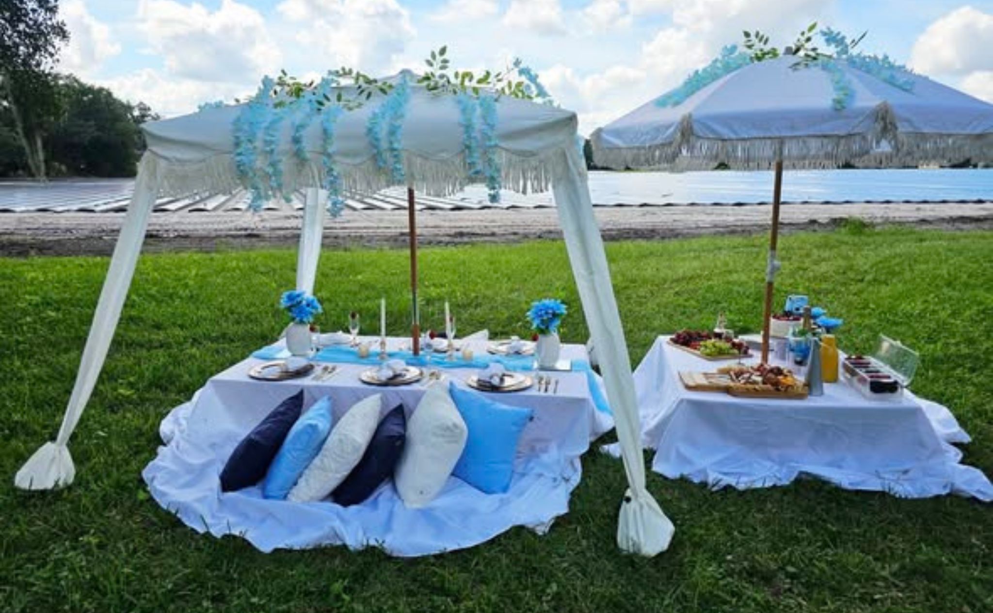 Blue and white custom picnic.
